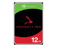 SEAGATE IronWolf Pro 12TB 3,5'' ST12000NT001 - 1079376 - zdjęcie 1